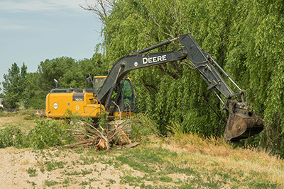 An Irrigation District TracHoe removes brush and other debris from a Treasure Valley canal bank as part of a regular safety and operational maintenance program.